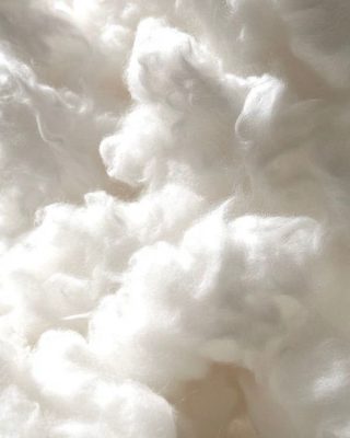 Vải cotton